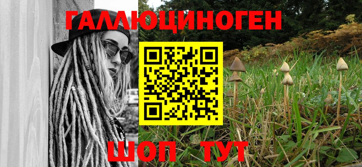 Галлюциногенные грибы GOLDEN TEACHER  Вход с VPN  Дербент  Псилоцибиновые грибы Psilocybine cubensis 