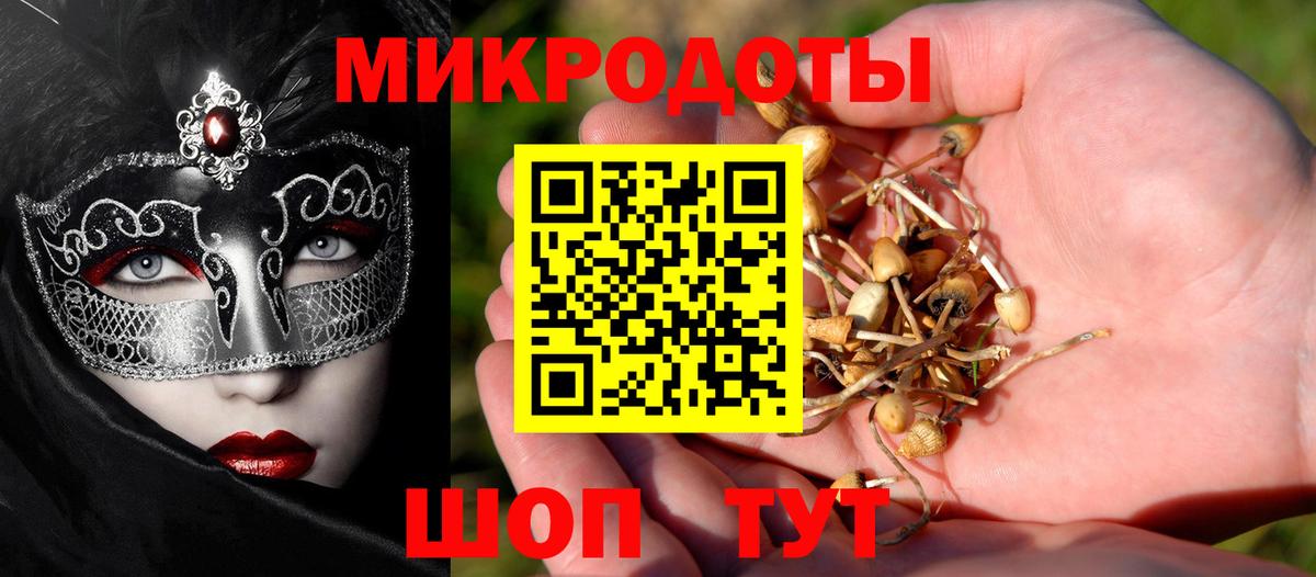 Псилоцибиновые грибы прущие грибы Дербент